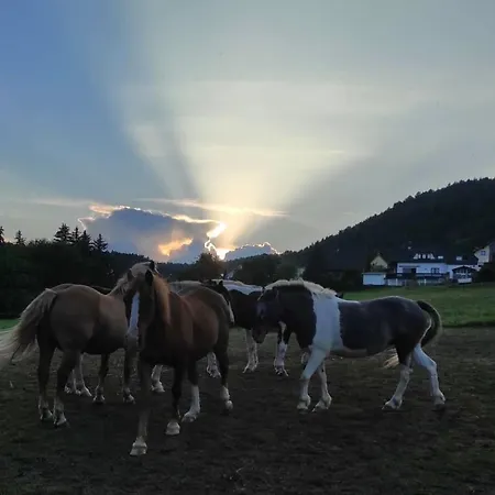 Am Tor Zum Thueringer Wald 2 * Plaue (Thuringia)
