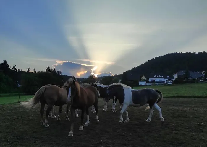 Am Tor Zum Thueringer Wald 2 * Plaue (Thuringia)